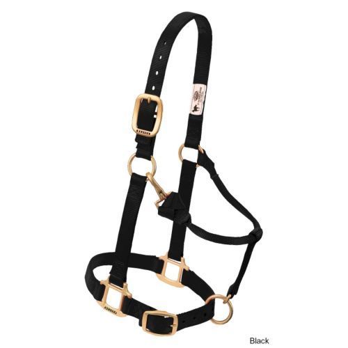 Weave Nylon Halter 3/4" Adjustable Chin Mini