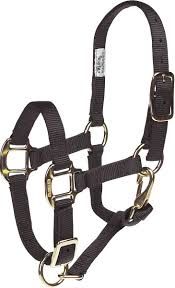 Weave Nylon Halter 3/4" Adjustable Chin